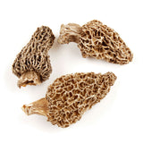 Dried Morel Mushrooms (1lb/bag)