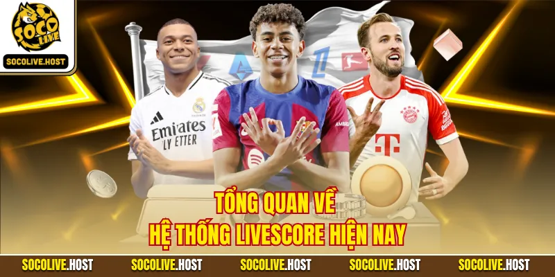 Livescore - Cập Nhật Tỷ Số Trực Tuyến Siêu Tốc, Chuẩn Xác 1 Tổng quan về hệ thống livescore hiện nay